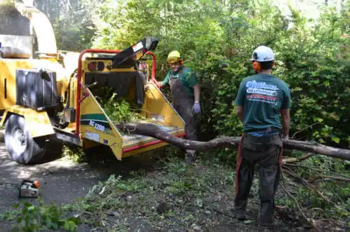 tree services Fish Lake